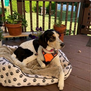 Fundraising Page: Christine Lochner